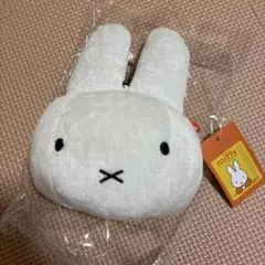 Item thumbnail for item 4df9acc8-afe1-4ec0-8faf-a88464704c2f