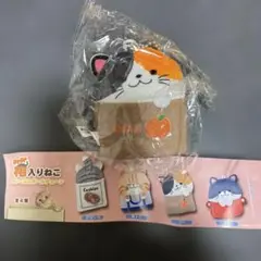 箱入りねこ　マスコット　ガチャ