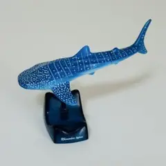 ジンベエザメ エポック社 地球生命紀行 フィギュアコレクション