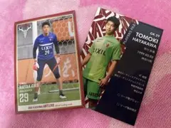 早川友基　カードセット
