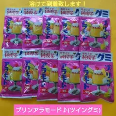 プリンアラモードグミ(ツイングミ)昭和の味１０袋【箱がパンパン到着•潰れて到着】