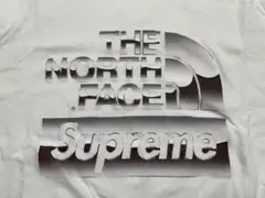 Supreme / The North Face® Metallic Logo