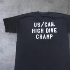 90s USA製 フルーツオブザルーム Tシャツ XL黒