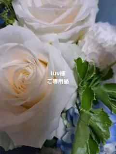 ☆Iuv様ご専用品☆