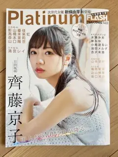 Platinum FLASH Vol.13