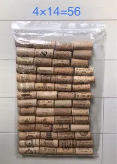 Item thumbnail for item ab5a1d67-6c9a-462b-a5fe-4e61d4fb4554