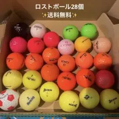 ロストボール 28個セット A級クラス