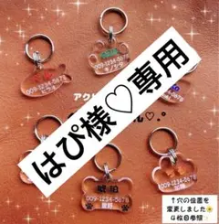 Item thumbnail for item 579d6cf6-00f2-47e3-b581-ebc6f0719d6a