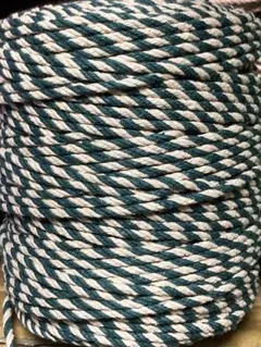 Item thumbnail for item 1d7caa8b-742d-410c-8e00-36668d5dc7cb