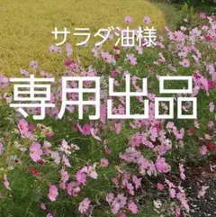 ティファニー オープンハート ショッパー