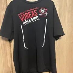 Item thumbnail for item 21dde7ef-5bca-4430-b754-042353cf4785