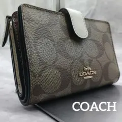 Item thumbnail for item 9440eeed-a01c-4880-a002-e224c23c98e5