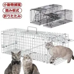 Item thumbnail for item 60949450-b32f-4ec9-a0bb-e456ff156374