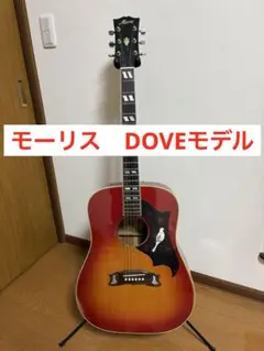 m97540244058_1.jpg?1745062423