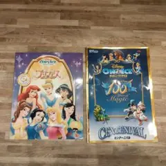 ディズニーオンアイス　パンフレット　2冊