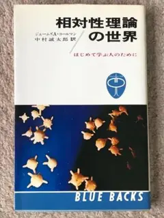 [文庫]　相対性理論の世界　はじめて学ぶ人のために 講談社ブルーバックス