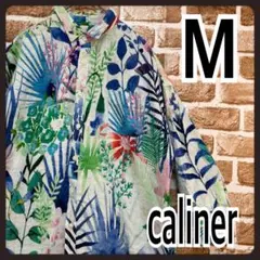 Item thumbnail for item 95783f13-653d-4f0a-8925-a0d4e91ee482