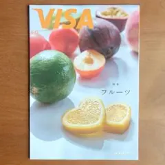VISA 9+10月号【非売品】