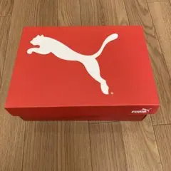 PUMA スニーカー　箱のみ