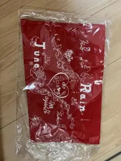 新品未使用！ハウステンボス歌劇団　トートバッグ　赤色