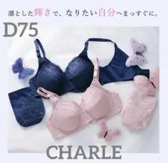 Item thumbnail for item df92dbce-ddcb-427e-94d4-be45b152151c