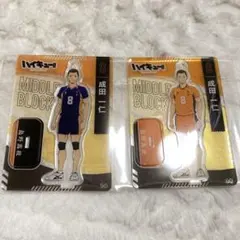 ハイキュー!! ミニ アクスタ 成田一仁