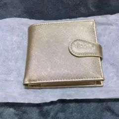 Item thumbnail for item 2deba9aa-391c-45af-976b-5751e4057048