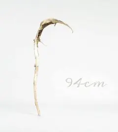 Item thumbnail for item d46c2c6a-cf28-407e-955a-ef06883f9f90