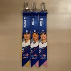 野球 中日　ボンフィン3本セット 柳選手　梅津選手　山浅選手