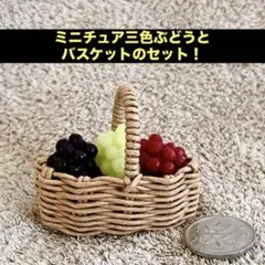 ミニチュア バスケットと三色ぶどうのセット！②