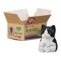 まちぼうけ猫2 ハチワレ(子猫)