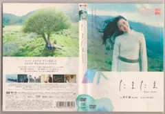 蒼井優✿たまたま　DVD