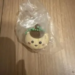 Item thumbnail for item 8ebc3c27-58fe-447c-bc36-4fc906df3d54