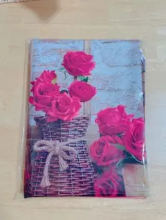 Item thumbnail for item 04debc81-070e-4e98-9859-c429e431667c