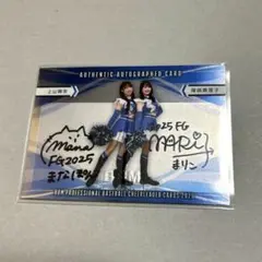 Item thumbnail for item 04eb727a-2ef0-4afd-92f0-d1fbfba37fbc