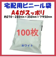 Item thumbnail for item b5b75ef1-9b22-400d-862a-d3f0098546dd