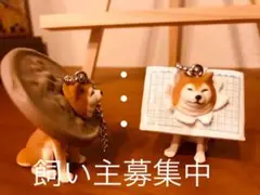 【新品】挟まり犬3 柴犬キーホルダー　2匹