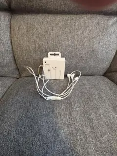 Apple EarPods with Lightning Connector