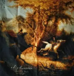 Aleksandr Manamis wool silk scarf