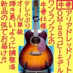 アリア 単板トップのアコースティックギター　新弦付き❗️ アリア 単板トップのアコースティックギター 新弦付き❗️