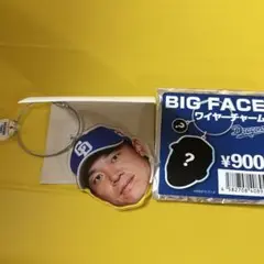 中日ドラゴンズ　大島洋平　ドラゴンズ　ガチャ　ワイヤーチャーム