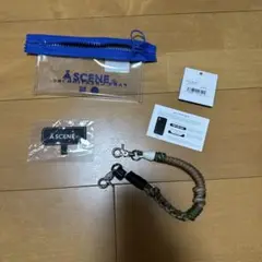 ASCENE マルチカラーストラップ ポーチ付き