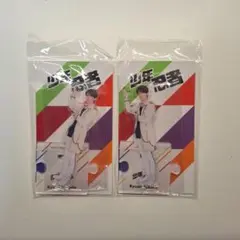 Item thumbnail for item 710c5899-c1bb-427c-981a-62294ceaede2