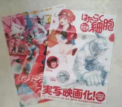 Item thumbnail for item 9c4696b6-3f82-491c-9d4d-f217f6f1834a