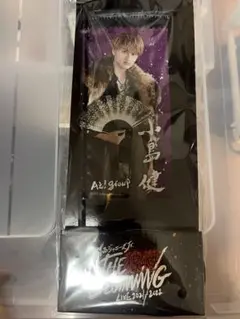 小島健 ミニのぼり