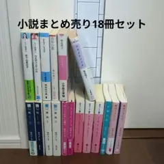 小説まとめ売り★18冊セット 林真理子柴田よしき篠田節子宮部みゆき五十嵐貴久
