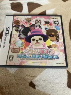 ワンタメ　うらないチャンネル　DSソフト