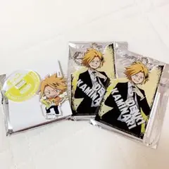 上鳴電気 スーツコス アクキー オープンセミナー アクスタ