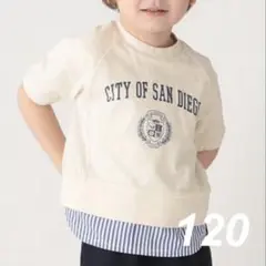 プティマイン 重ね着風 レイヤード カレッジロゴ Tシャツ 120