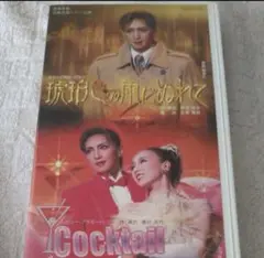 宝塚歌劇　花組　VHS ビデオテープ 琥珀色の雨にぬれて　春野寿美礼
